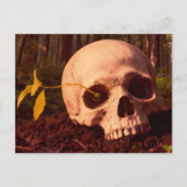 Carte Postale La vie et la mort (Devant)