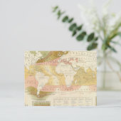 Carte Postale La vie marine (Debout devant)