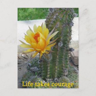 Carte Postale La vie prend courage