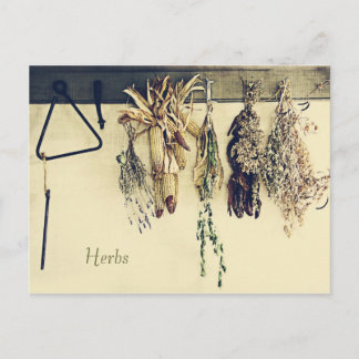 Carte Postale La vie rustique sèche de pays d'herbes toujours