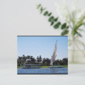 Carte Postale La vie sur le Nil (Debout devant)