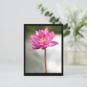 CARTE POSTALE LA VISION LOTUS DE NORMAN (Debout devant)