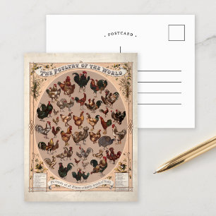 Carte Postale La Volaille du Monde Races de Poules Anciennes