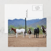 Carte Postale La vue (Devant / Derrière)