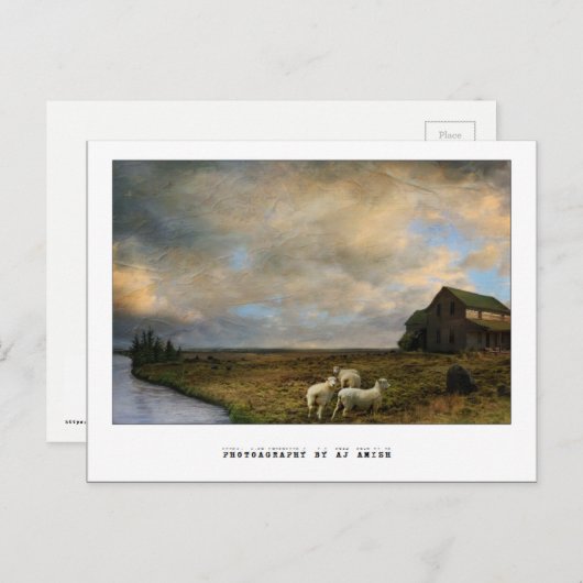 Carte Postale L'abattage - (Devant / Derrière)