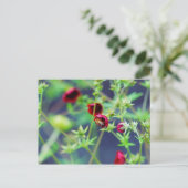 Carte Postale L'abeille à la fleur rouge (Debout devant)