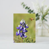 Carte Postale L'abeille occupée à la recherche d'une fleur de Lu (Debout devant)