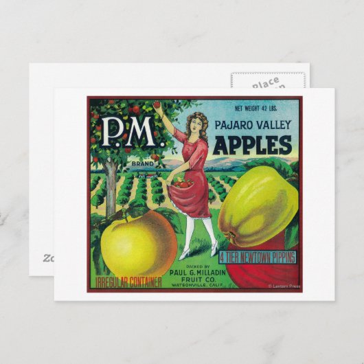Carte Postale Label Apple Crate P.M. Watsonville, CA (Devant / Derrière)