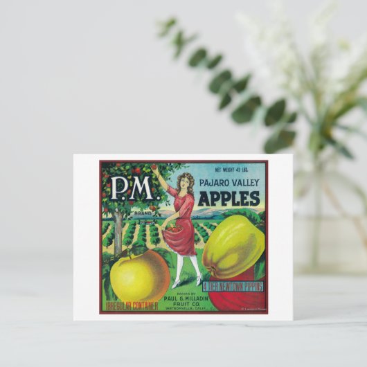 Carte Postale Label Apple Crate P.M. Watsonville, CA (Debout devant)