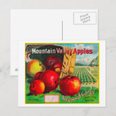 Carte Postale Label Apple Mountain ValleyHamilton, MT (Devant / Derrière)