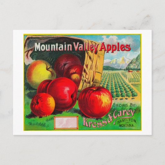 Carte Postale Label Apple Mountain ValleyHamilton, MT (Devant)