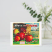 Carte Postale Label Apple Mountain ValleyHamilton, MT (Debout devant)