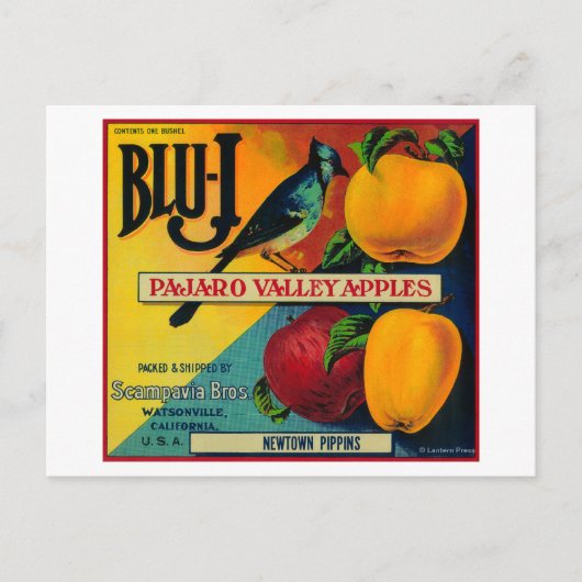 Carte Postale Label Blu-J Apple Crate Watsonville, CA (Devant)