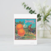 Carte Postale Label Orange DéfianceVenice Cove, CA (Debout devant)