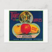 Carte Postale Label Tiger Apple Crate Watsonville, CA (Devant)