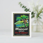 Carte Postale Label Vieux MuscatEurope (Debout devant)