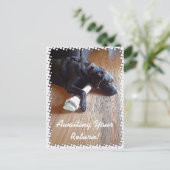 Carte Postale Laboratoire De Chocolat Avec Photo D'Os (Debout devant)