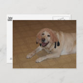 Carte Postale Laboratoire jaune soyeux (Devant / Derrière)