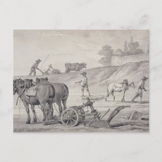 Carte Postale Labourage des champs (Devant)