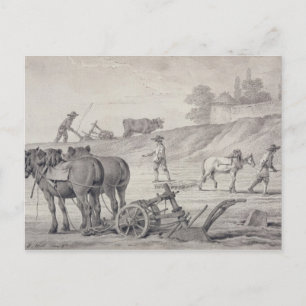Carte Postale Labourage des champs