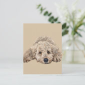 Carte Postale Labradoodle (Debout devant)