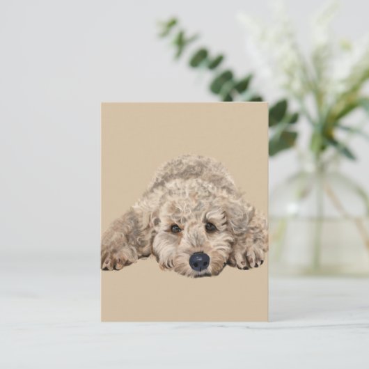 Carte Postale Labradoodle (Debout devant)