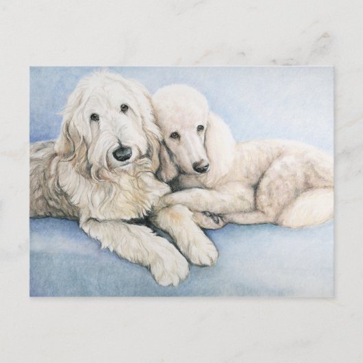 Carte postale Labradoodle et Standard Poodle Dog A (Devant)