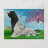 Carte Postale Labradoodle Spring (Devant)