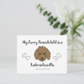 Carte Postale LabradoodleChocolat (Debout devant)