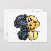 Carte Postale Labradoodles Jaune Noir Linked Up (Devant / Derrière)