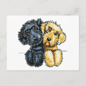 Carte Postale Labradoodles Jaune Noir Linked Up (Devant)