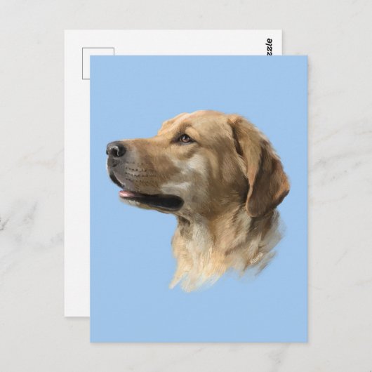 Carte Postale Labrador (Devant / Derrière)