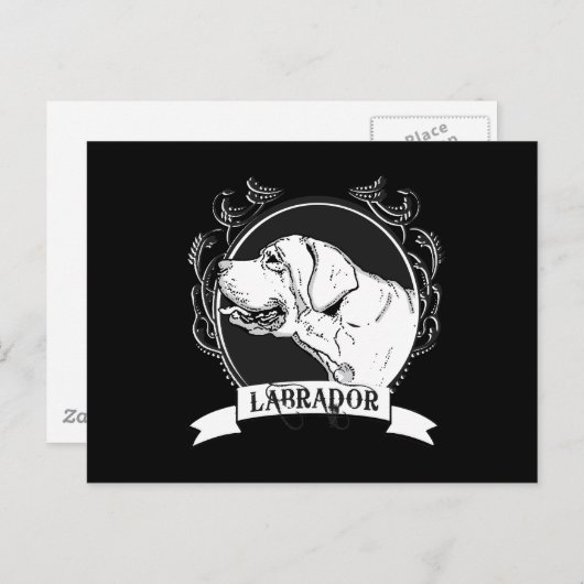 CARTE POSTALE LABRADOR (2) (Devant / Derrière)