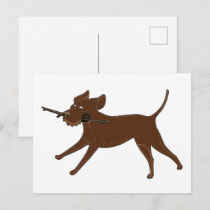 Carte Postale Labrador chocolat LR avec un bâton