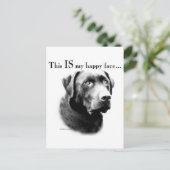 Carte Postale Labrador Joyeux visage (Debout devant)