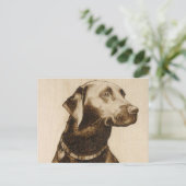 Carte Postale Labrador noir (Debout devant)