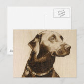 Carte Postale Labrador noir (Devant / Derrière)