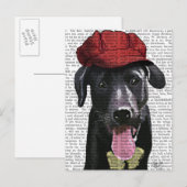 Carte Postale Labrador Noir avec Casquette rouge (Devant / Derrière)