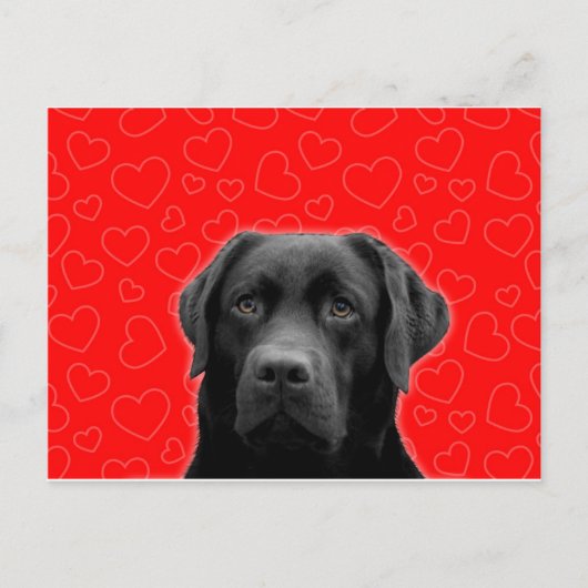 Carte Postale Labrador noir avec Coeurs rouges (Devant)