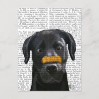 Labrador noir avec os sur le nez