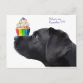 Carte Postale Labrador noir - Avez-vous dit Cupcakes - Amateur d (Devant)