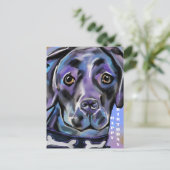 CARTE POSTALE LABRADOR RETRIEVER            (Debout devant)