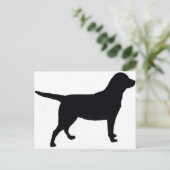 Carte Postale Labrador Retriever (Debout devant)