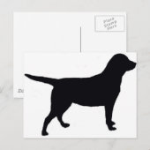 Carte Postale Labrador Retriever (Devant / Derrière)