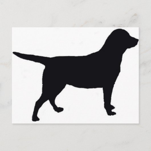 Carte Postale Labrador Retriever (Devant)