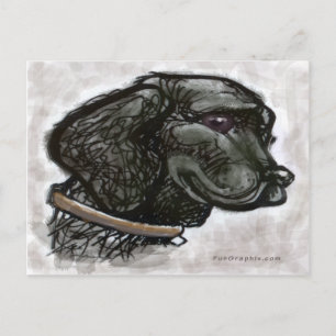 Carte Postale Labrador Retriever