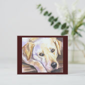 Carte postale Labrador Retriever (Debout devant)