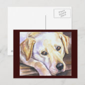 Carte postale Labrador Retriever (Devant / Derrière)