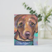 CARTE POSTALE LABRADOR RETRIEVER            (Debout devant)