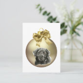 Carte Postale Labrador Retriever (Debout devant)